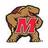 TerpTalk's profile image