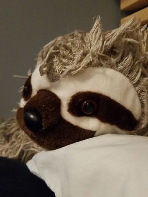 EncryptedSloth's profile picture. Nerd, Comic book fan, Cryptofiend, and Nightlife Enthusiast.