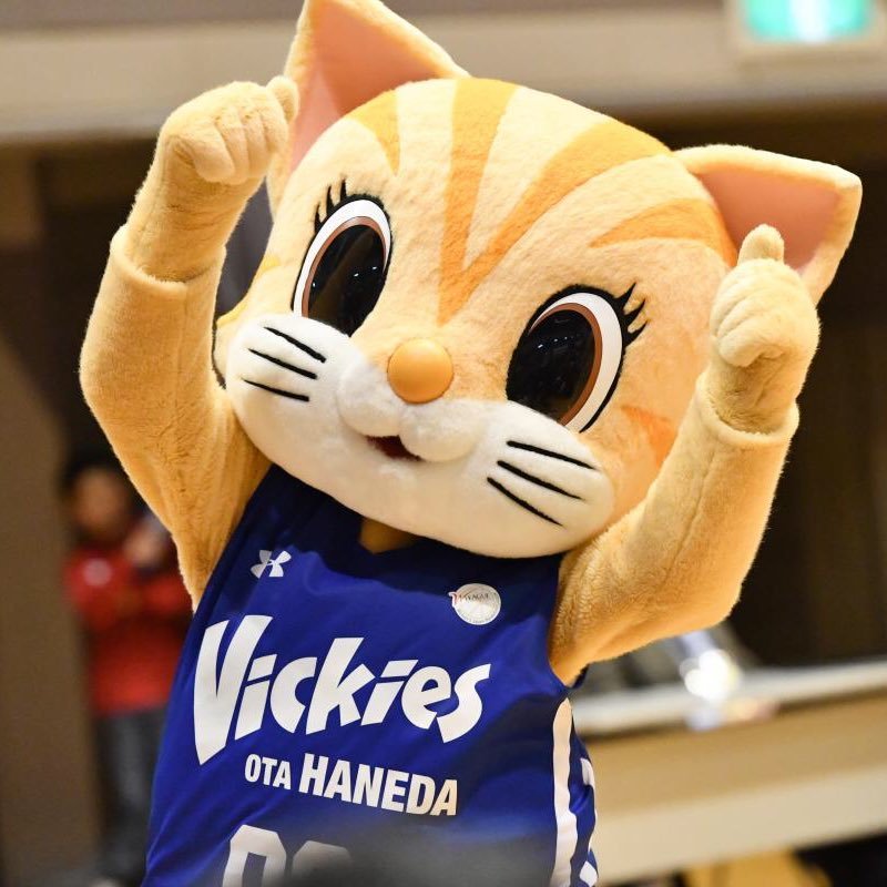 こんにちはヴィッキーですっ！ ご主人は女子バスケットボールチームの羽田VICKIES！皆さん応援してねー！