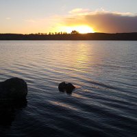 Parish of Kilmovee (@kilmoveeparish) 's Twitter Profile