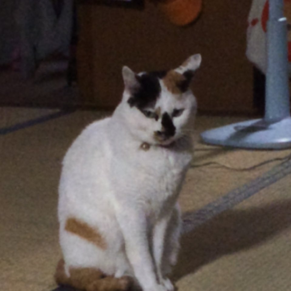 Mimicchiさんのプロフィール画像