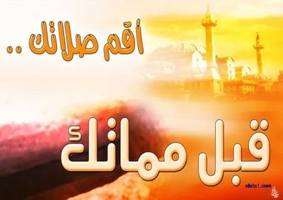 sYQEpqKX10Avx4F's profile picture. 