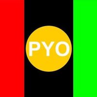 PYO Sindh Official(@PYOSindh) 's Twitter Profile Photo