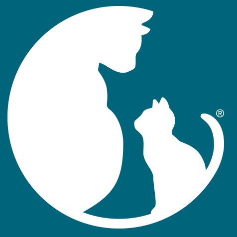 We are the leading organization protecting and improving cats' lives.

🌍 Global advocacy
🐱 Resources and action
📷 media@alleycat.org
https://t.co/nqjT6cHgXy