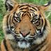 Chagrin Falls Booster Club (@falls_club) Twitter profile photo Chagrin Falls Booster Club (@falls_club) Twitter profile photo