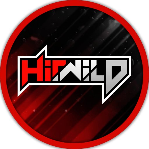 🎮Professional eSports Organization 🇪🇸    ✉️ Business Inquiries: admin@hitwild.pro #BEWILD