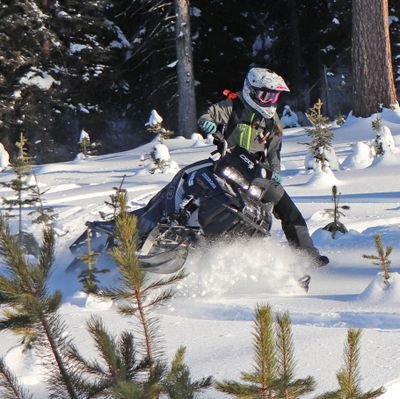 _sarah_whipple_'s profile picture. 