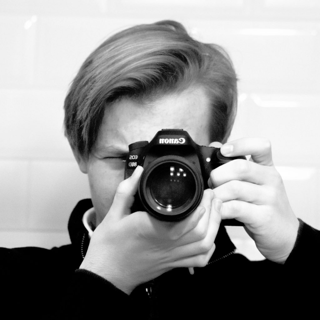 WolfA330's profile picture. 