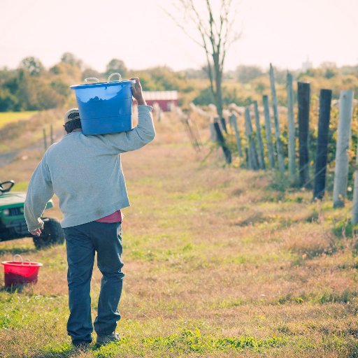 Winemaker, husband, dad & fearless entrepreneur