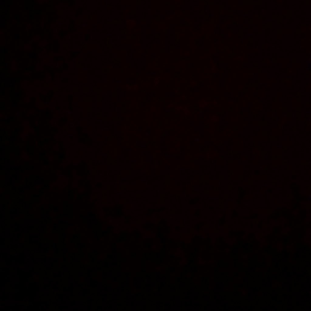 5aledDr's profile picture. 