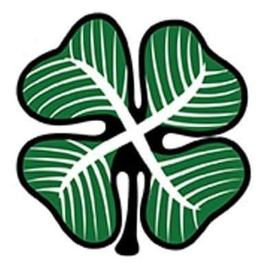 FTMLCSC's profile picture. Shamrock Rovers/ Celtic
