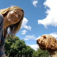 Liz Davison (@lizdavison16) 's Twitter Profile