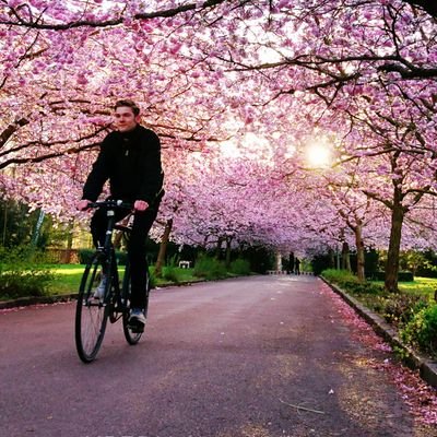 julipardor's profile picture. Creo en Dios NO en religiones. Creo en la Política NO en los políticos.
Libros, fútbol, Política.