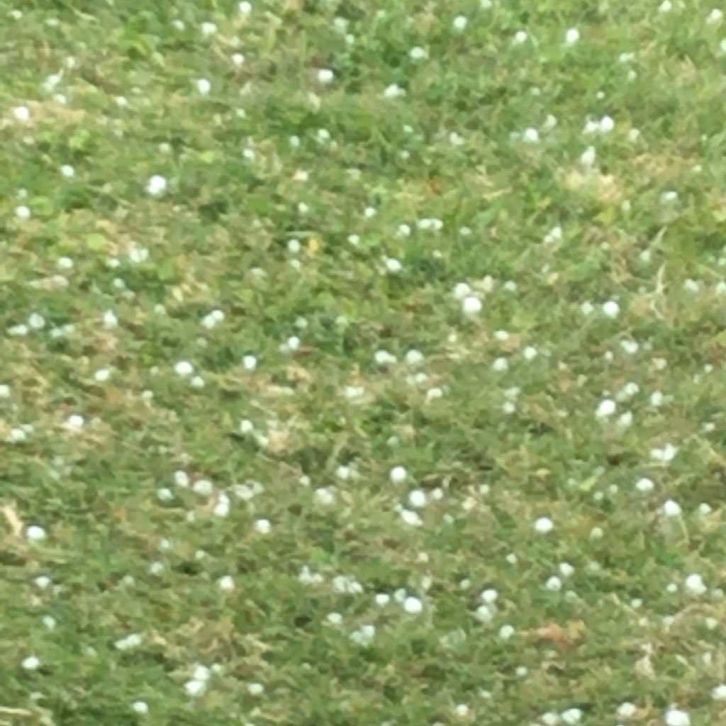 DIEGOHDANDREA's profile picture. 