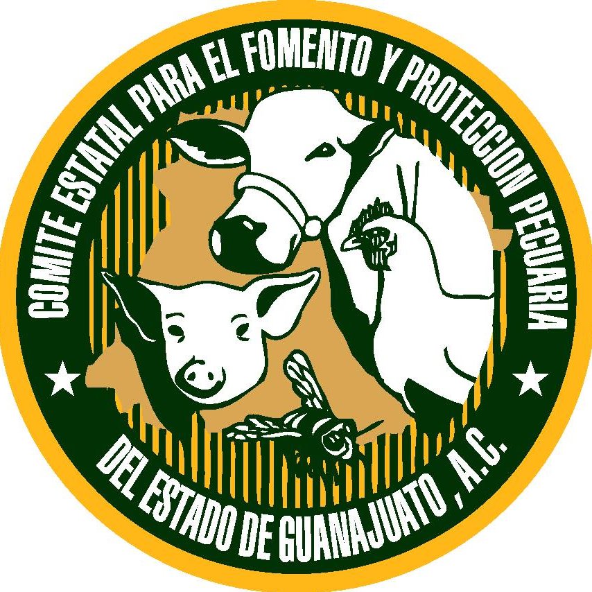 cefppegto's profile picture. 