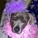 Robyn McHugh - @rmchugh3 - Twitter