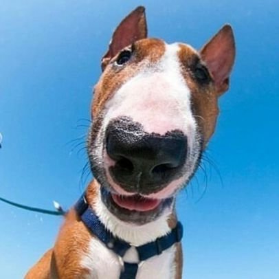 arkonet87's profile picture. 