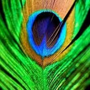 saranyamuthu27's profile picture. 😍Follow your heart💝