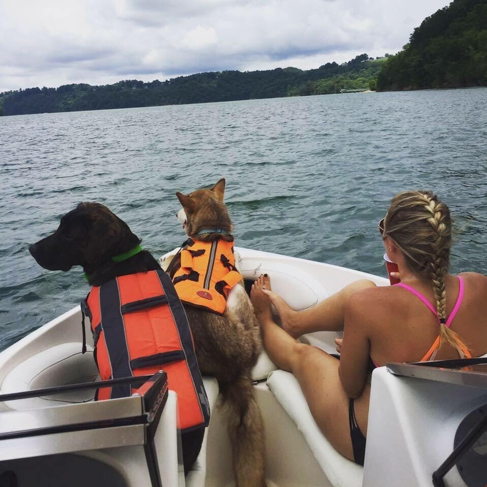 kayla_harmon8's profile picture. 