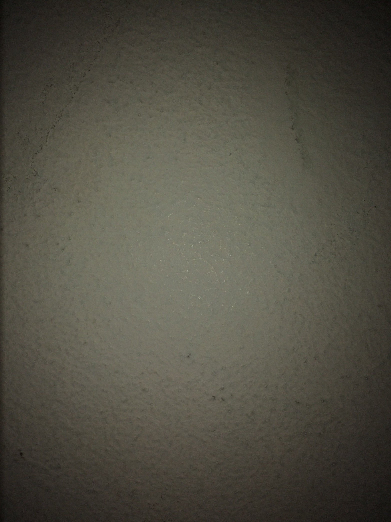nztscout's profile picture. Zoom out