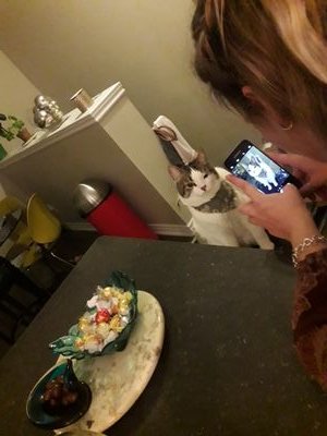 TracyWhelan11's profile picture. Cause I'm me