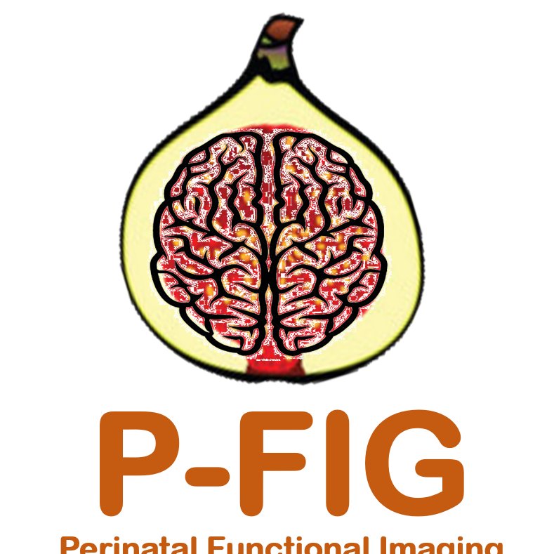 King’s Perinatal Functional Imaging Group Profile