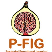 King’s Perinatal Functional Imaging Group(@Kings_PFIG) 's Twitter Profile Photo