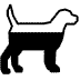 O nosso blog informa as novidades em gadgets para cães.