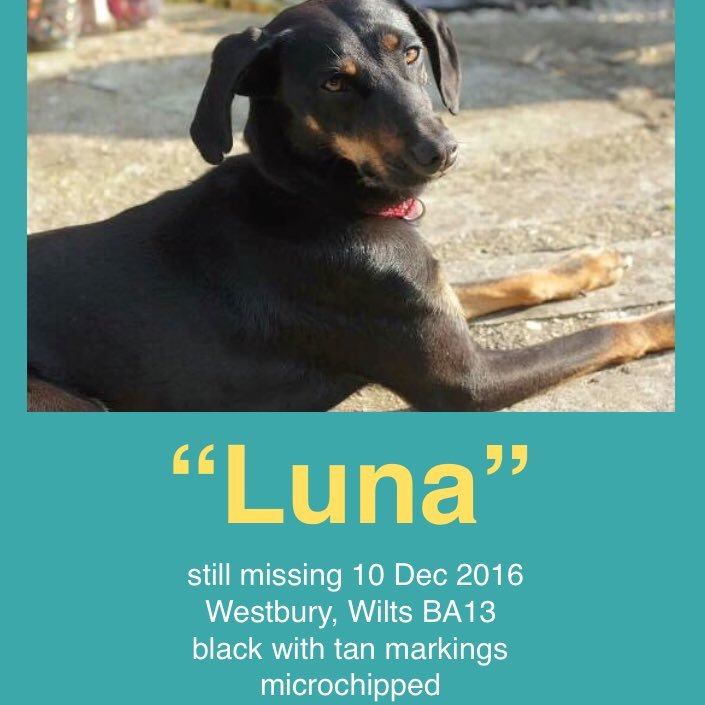 Find Luna