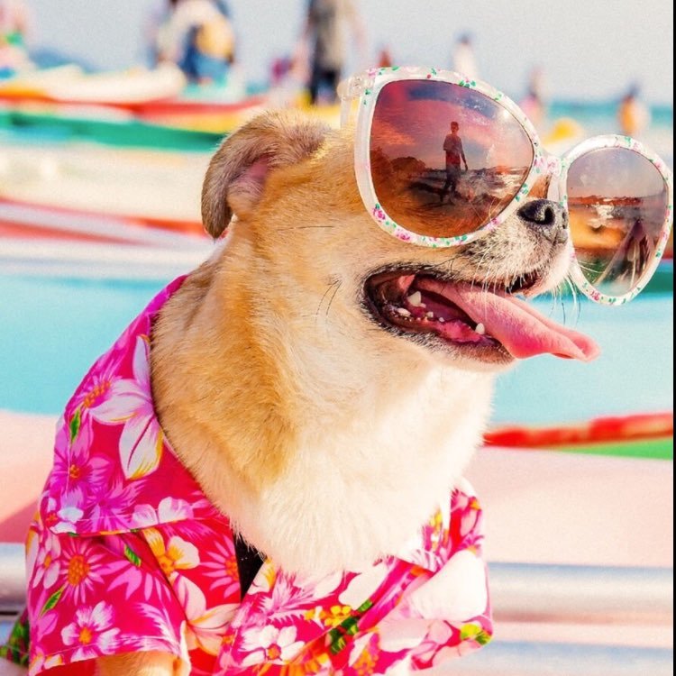 pg_cpa's profile picture. ポルノグラフィティが好き。