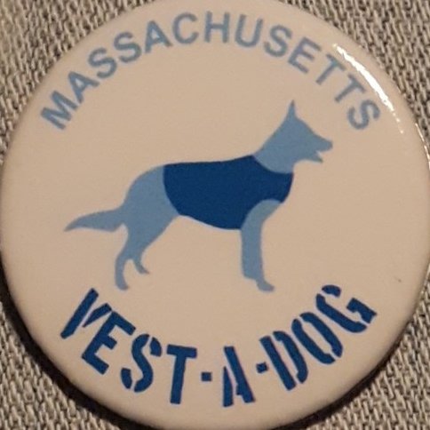 Massachusetts vest a dog Profile