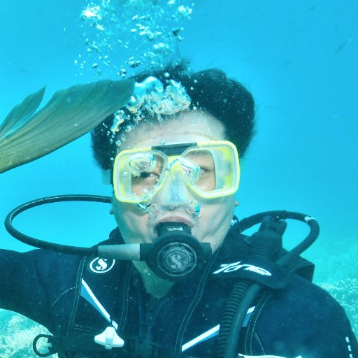 jnguyen's profile picture. Id: VN, Ego: US, Super Ego: SG - Bio: https://t.co/1JSexcNHVL