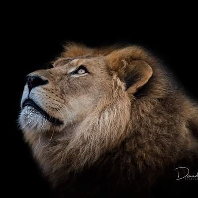 harsha4aug91's profile picture. 