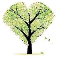 cazzamill's profile picture. Food safety nerd and researcher.