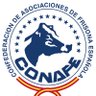 RevistaFrisona's profile picture. Revista de la Confederación de Asociaciones de Frisona Española-CONAFE dedicada al sector ganadero de vacuno de leche desde el año 1981. https://t.co/4Ir153Gz6O