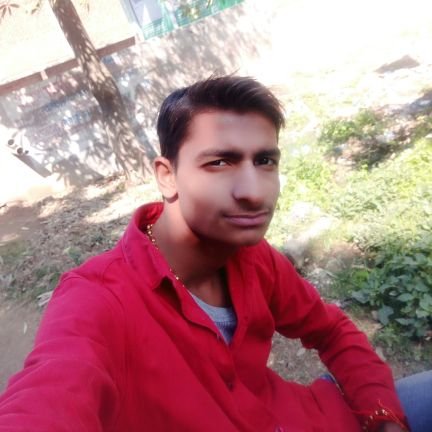 PMModi2019's profile picture. BJP
8077273744