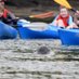 Encounter Cornwall (@kayakcornwall) Twitter profile photo Encounter Cornwall (@kayakcornwall) Twitter profile photo