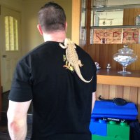 aft3rmath (@_aft3rmath_) 's Twitter Profile