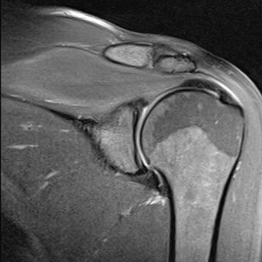 MadridBoneClub's profile picture. 