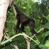 FroggerWarren's profile picture. Senior quantitative ecologist working within the Wildlife Department of the Animal and Plant Health Agency (APHA). My views are my own
