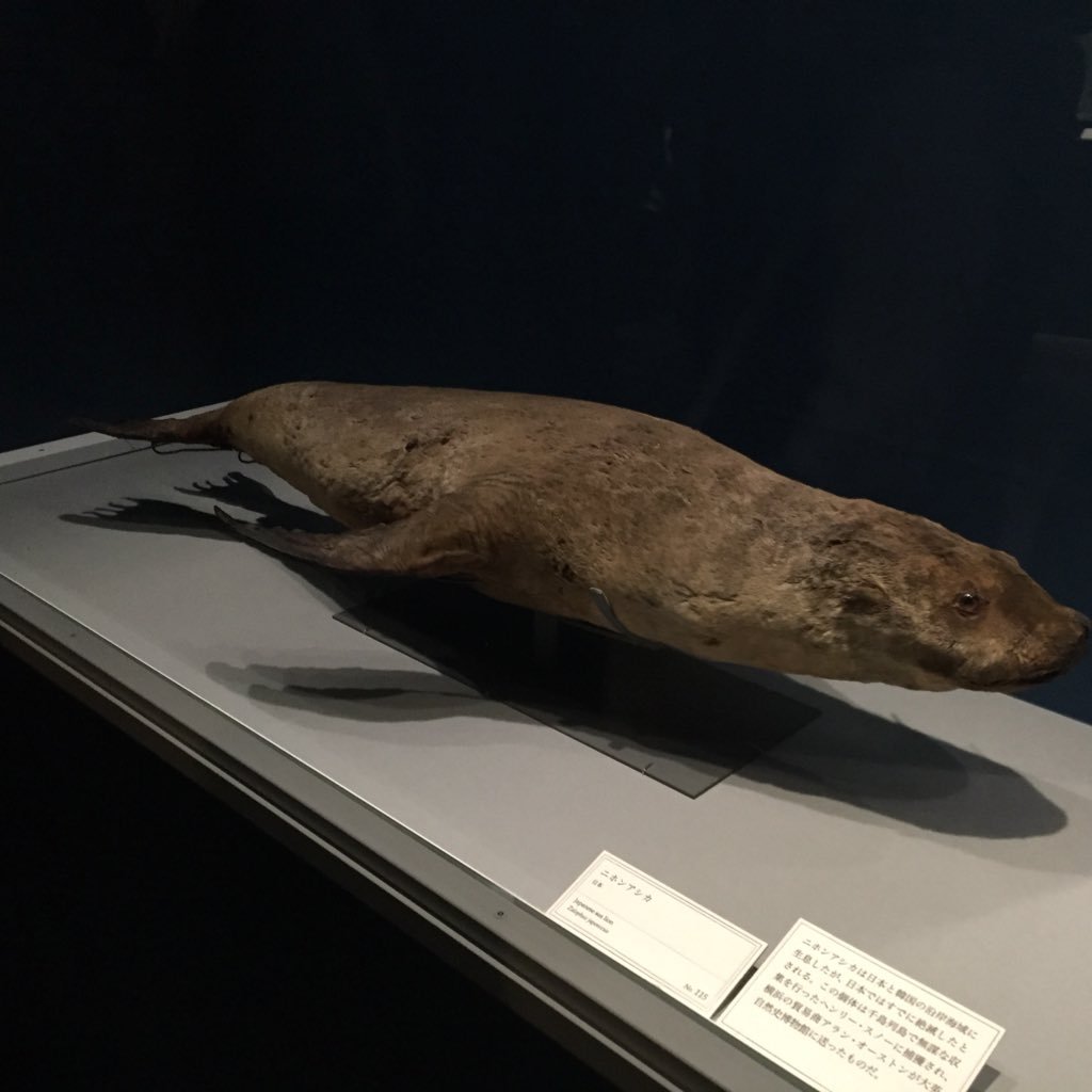 sataku2006's profile picture. Jリーグが特に大好きです。