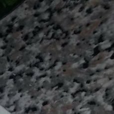 crisssscampisi's profile picture. 