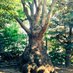 Keiko Sugimoto Lab. (@k_sugimoto_lab) Twitter profile photo Keiko Sugimoto Lab. (@k_sugimoto_lab) Twitter profile photo