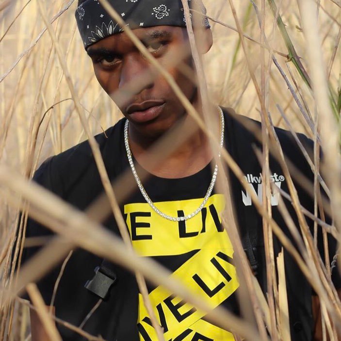 livenyc__'s profile picture. S.D. Williams