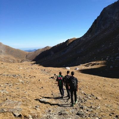 MiquelArguimbau's profile picture. 