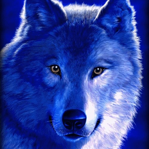 Mariya0180's profile picture. 