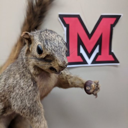 MiamiUAnthro's profile picture. Check us out on our other social media!

https://t.co/se9nn2rfUe

https://t.co/w7HzzxWmFd

https://t.co/E6wbGVxJcr…