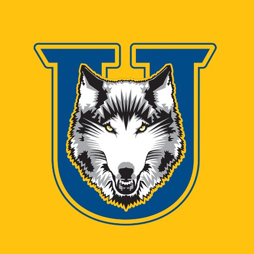 Official Twitter of the @lakeheadorillia Thunderwolves. Thunder Bay Campus: @LakeheadTWolves