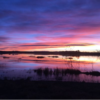 hzs1988's profile picture. bio