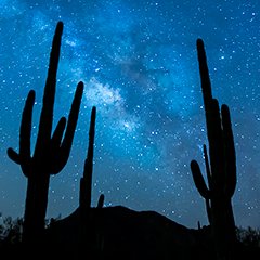 Protecting the public land, diverse ecosystems, natural wildlife, and history within the stunning lands of the Sonoran Desert National Monument.